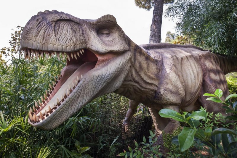 Maxx Royal Belek Golf Resort - Снимка 10