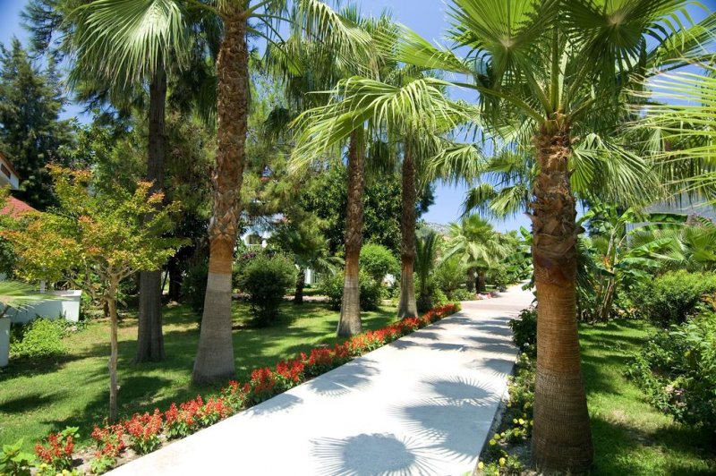 Sailors Beach Club - Снимка 2