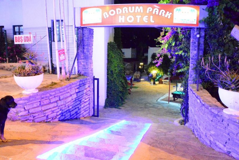Bodrum Park Hotel - Снимка 4