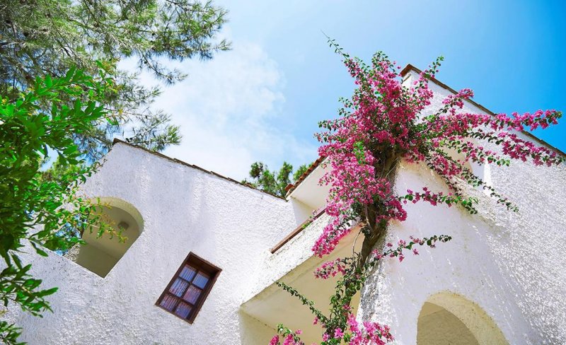 Ideal Panorama Hotel - Снимка 8