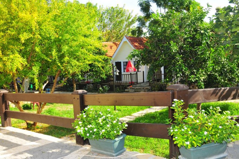 Nova Beach Hotel - Снимка 9