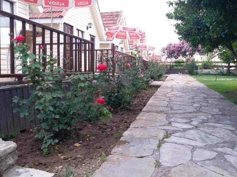 Nova Beach Hotel - Снимка 8