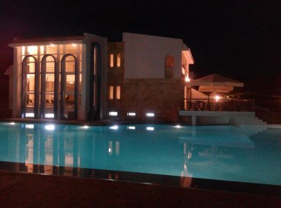 Skion Palace Beach Hotel - Снимка 8