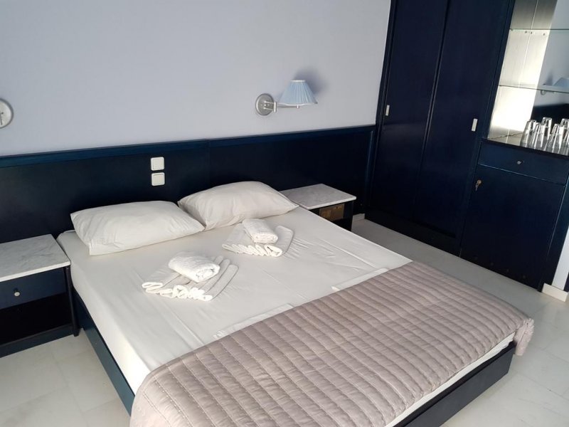 Skion Palace Beach Hotel - Снимка 10