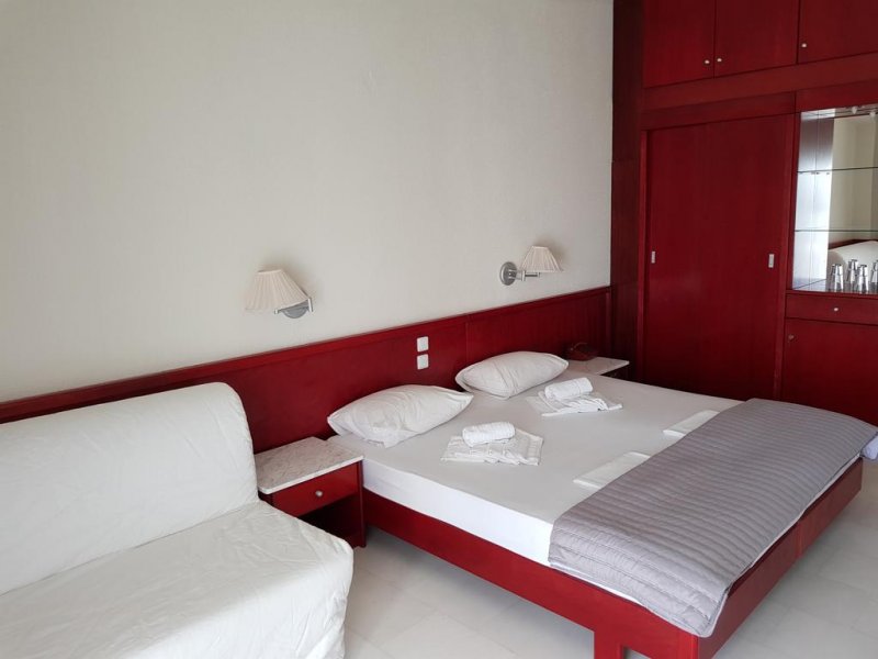 Skion Palace Beach Hotel - Снимка 7