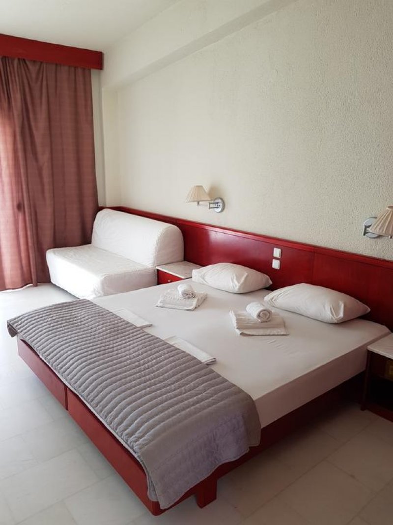 Skion Palace Beach Hotel - Снимка 7