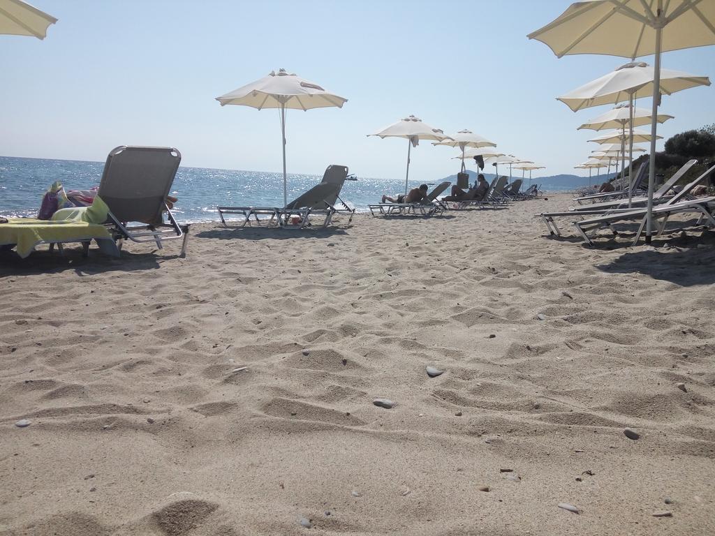 5 нощувки със закуски и вечери в Skion Palace Beach Hotel 4*, Халкидики, Гърция през Юли и Август! - Снимка 20