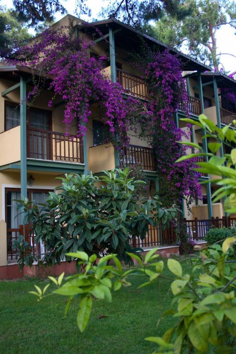 Turquoise Hotel - Снимка 3