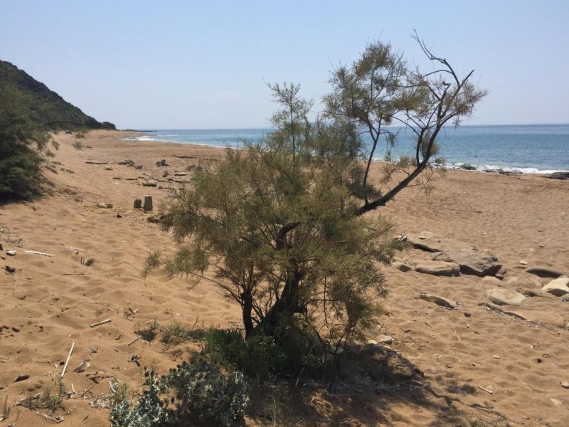 Olympion Village - Снимка 5