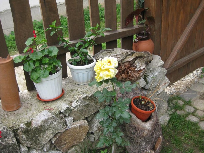 Къщи за гости Чардака - Снимка 9