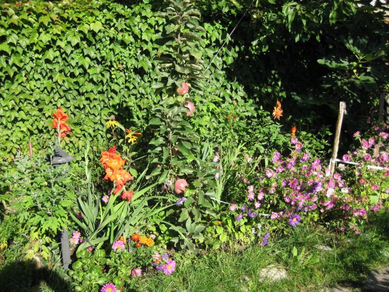 Къщи за гости Чардака - Снимка 11