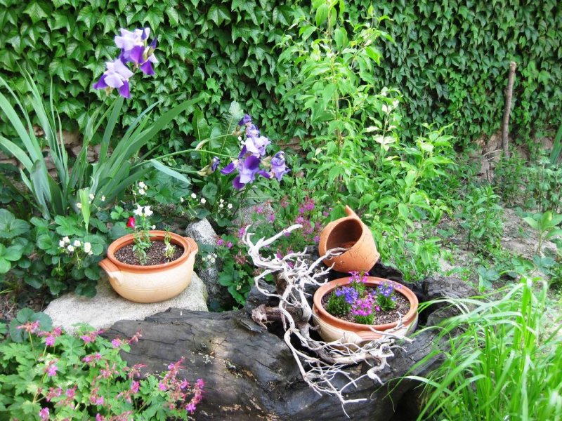 Къщи за гости Чардака - Снимка 11