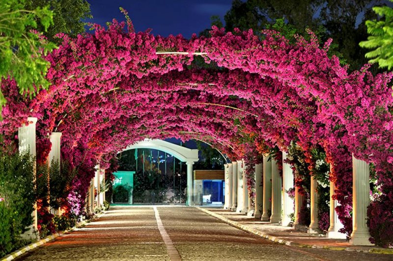 Kadikale Resort Bodrum - Снимка 7