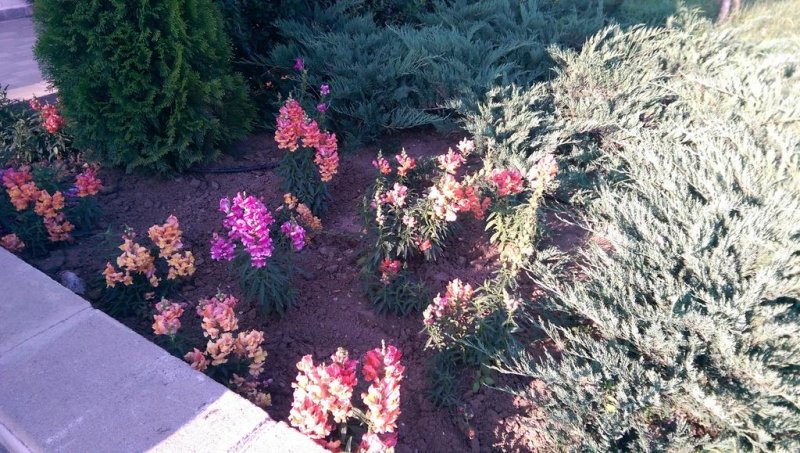 Хотел СТОП - Снимка 2