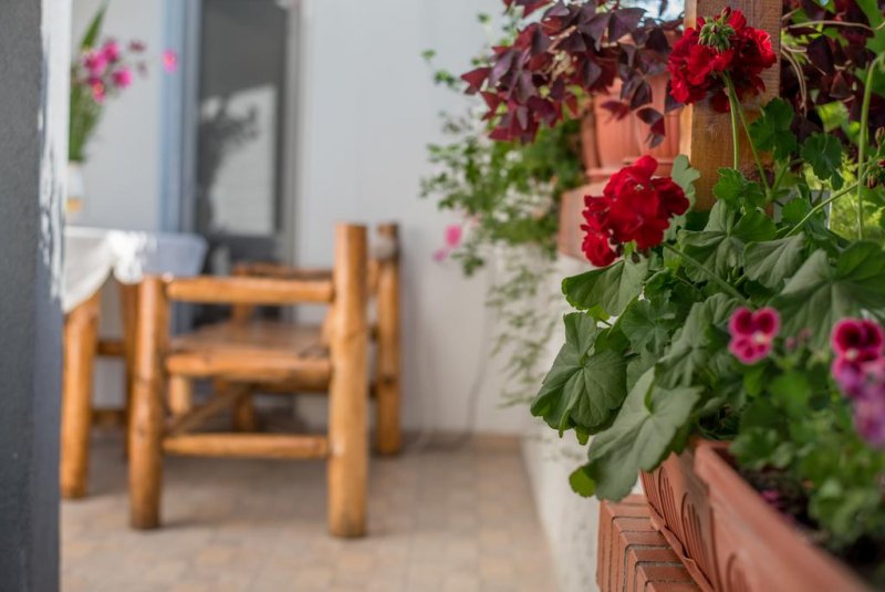 Къща за гости Джули - Снимка 4