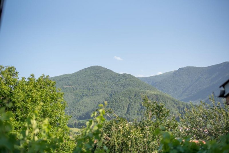 Къща за гости Джули - Снимка 5