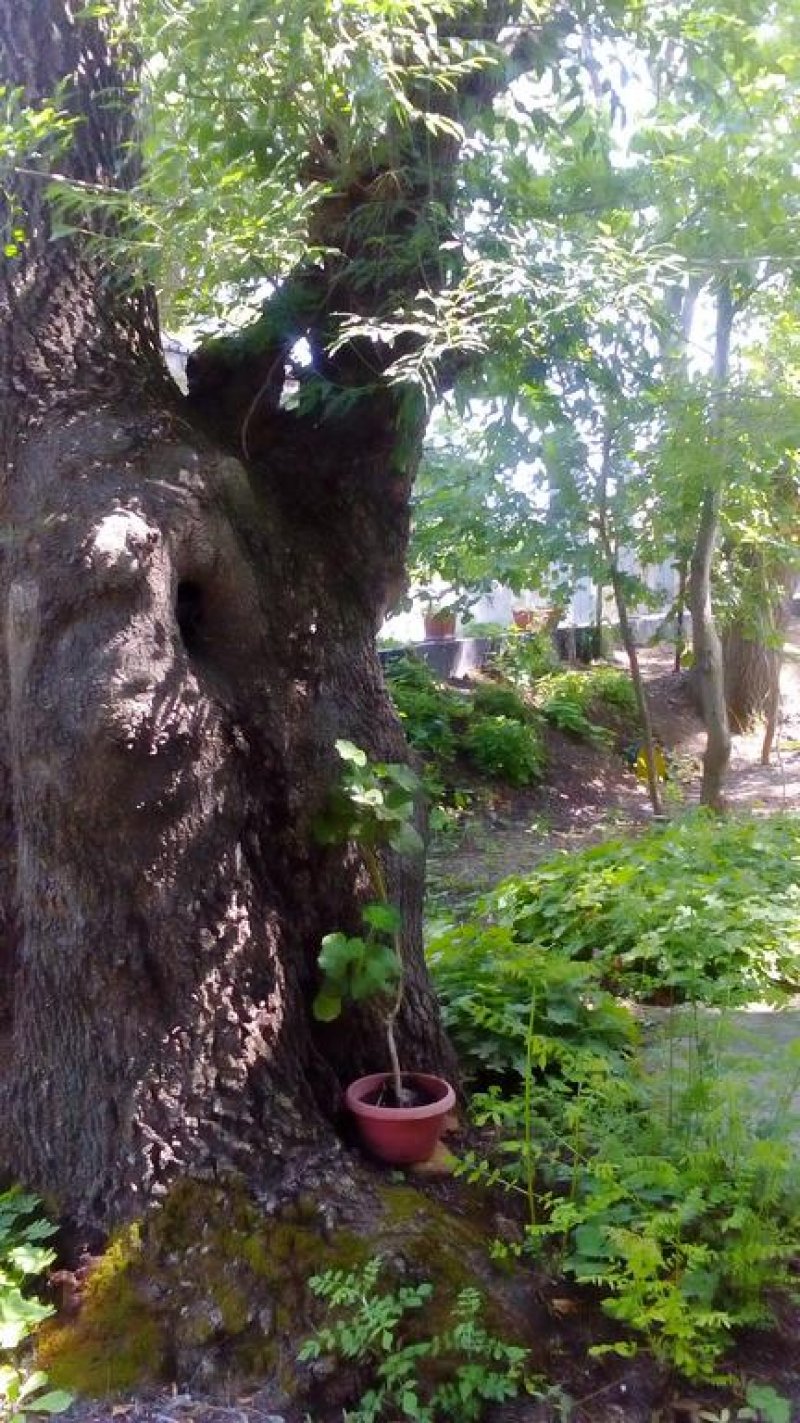 Семеен хотел Лурд - Снимка 3