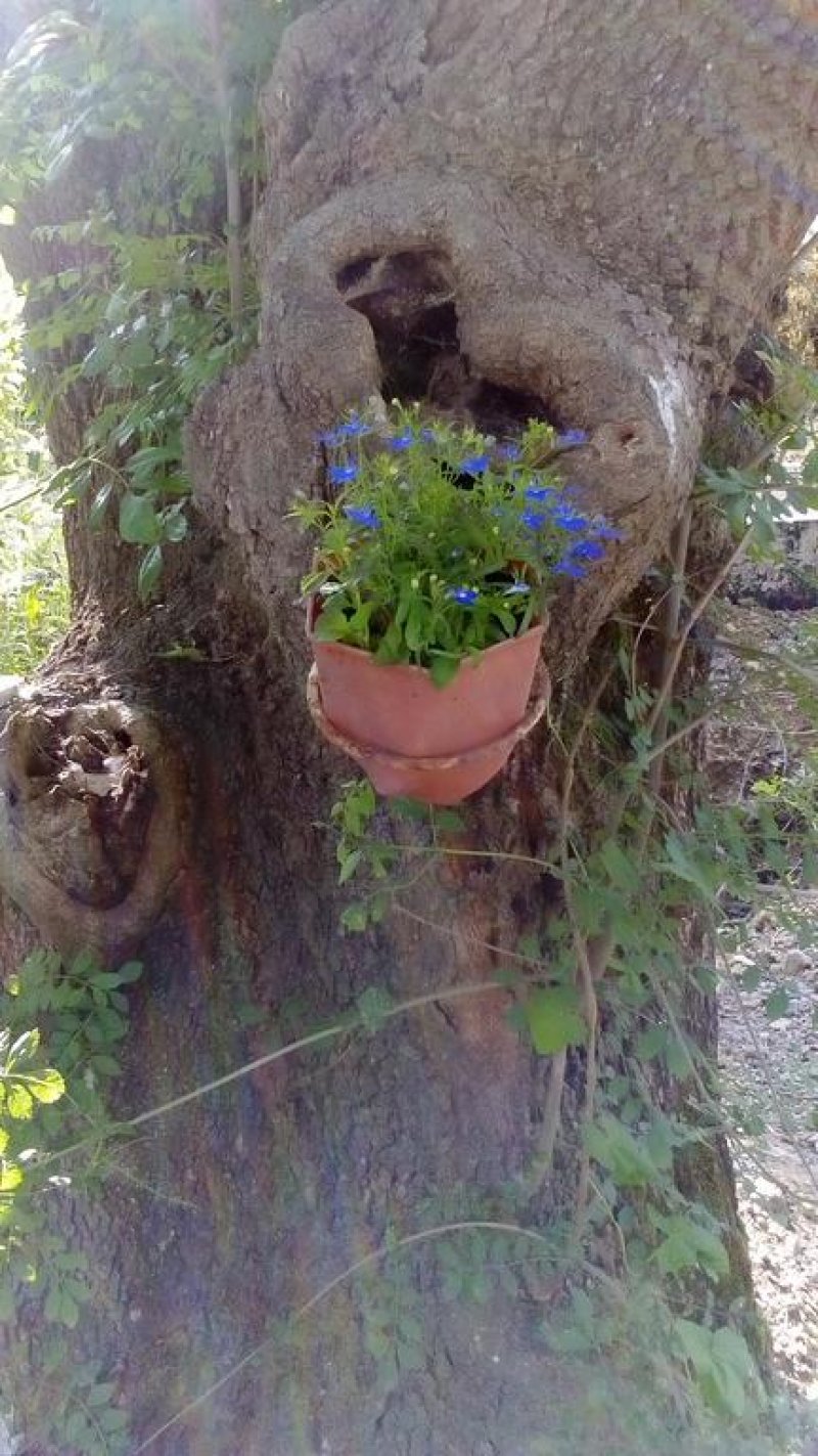 Семеен хотел Лурд - Снимка 9