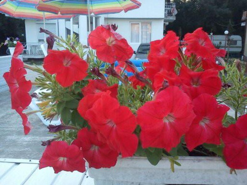 Семеен хотел Лурд - Снимка 5