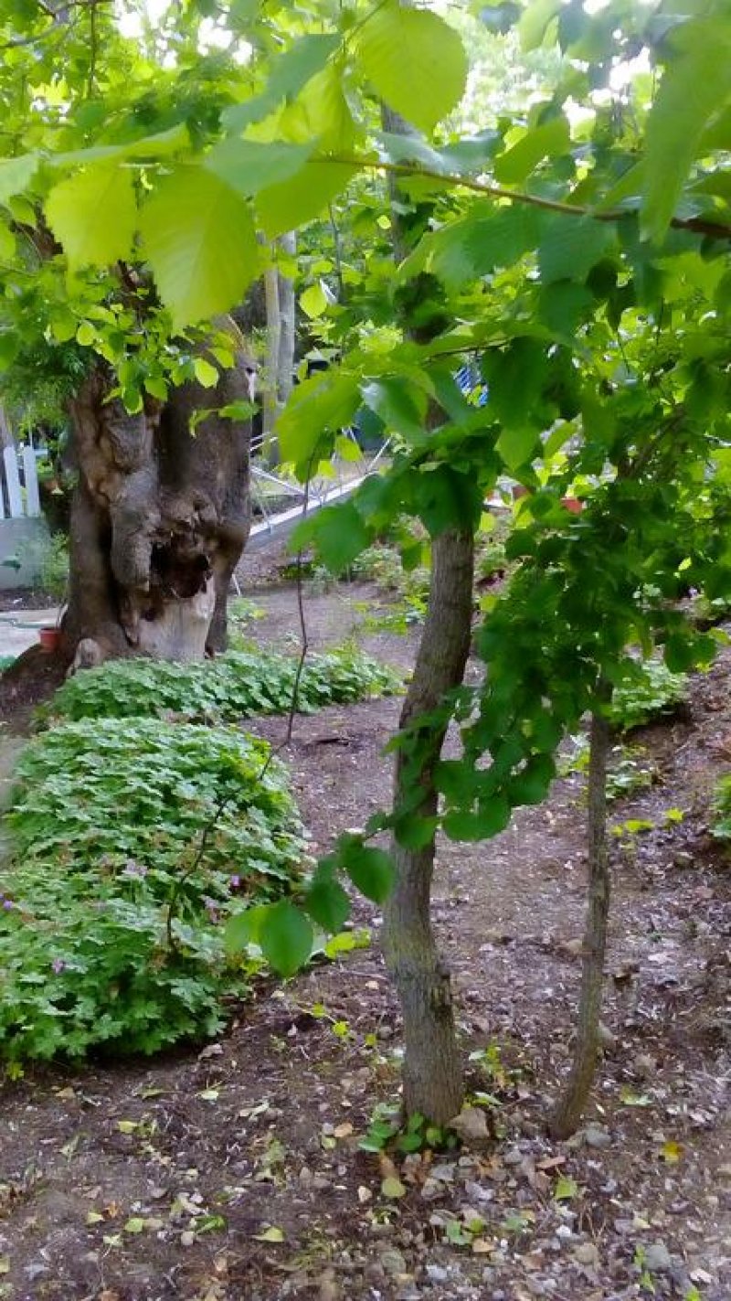 Семеен хотел Лурд - Снимка 1