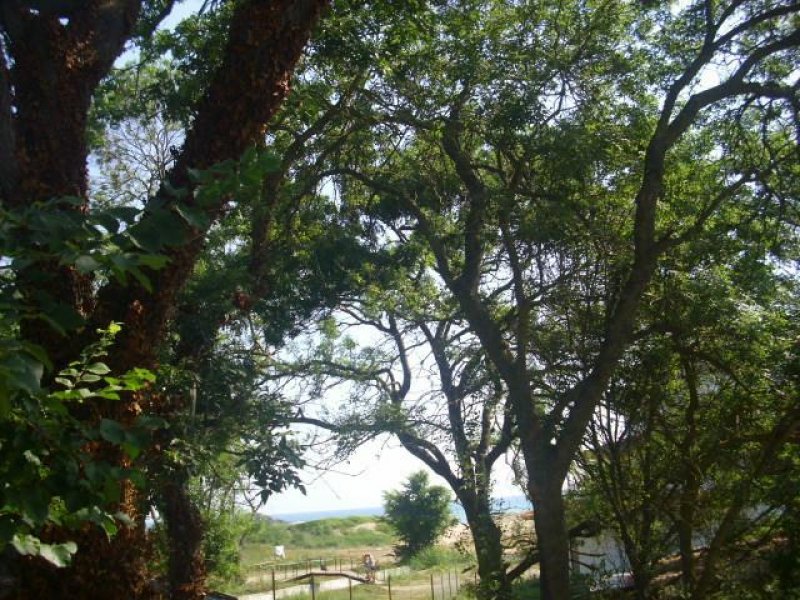 Семеен хотел Лурд - Снимка 10