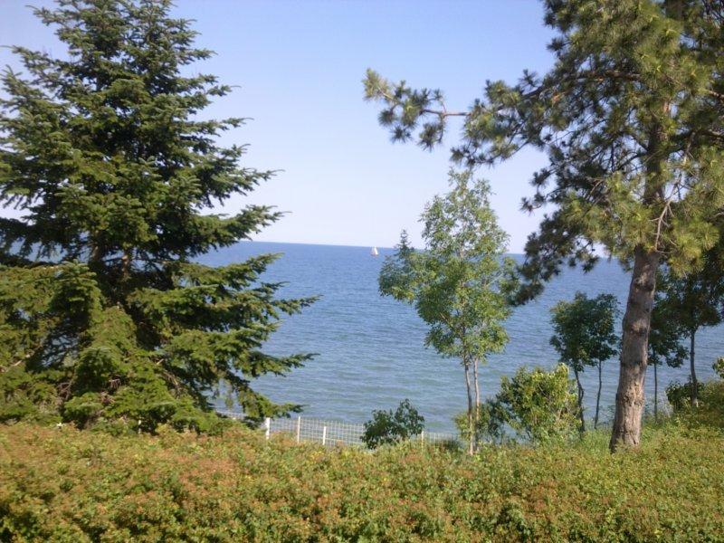 Хотел Рай - Снимка 8