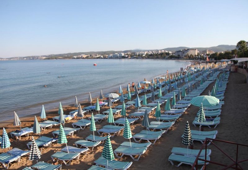 Lonicera World - Снимка 5