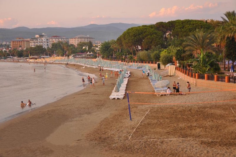 Lonicera World - Снимка 2