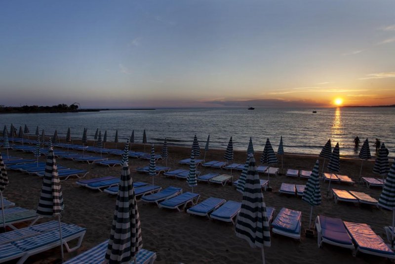 Lonicera World - Снимка 4