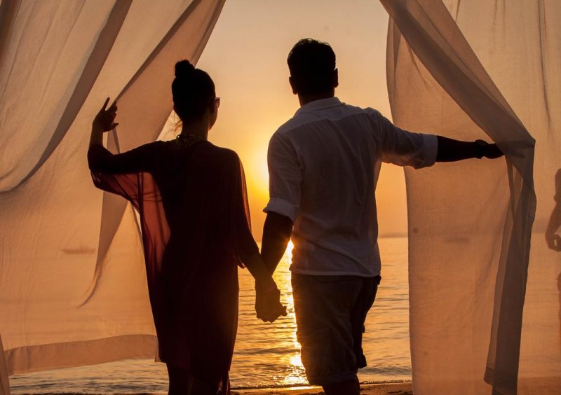 Lonicera World - Снимка 2