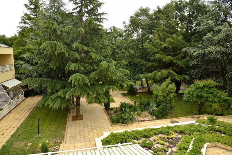 Хотел Глициния - Снимка 0