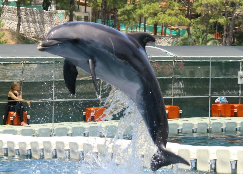 Labranda Mares Marmaris - Снимка 7