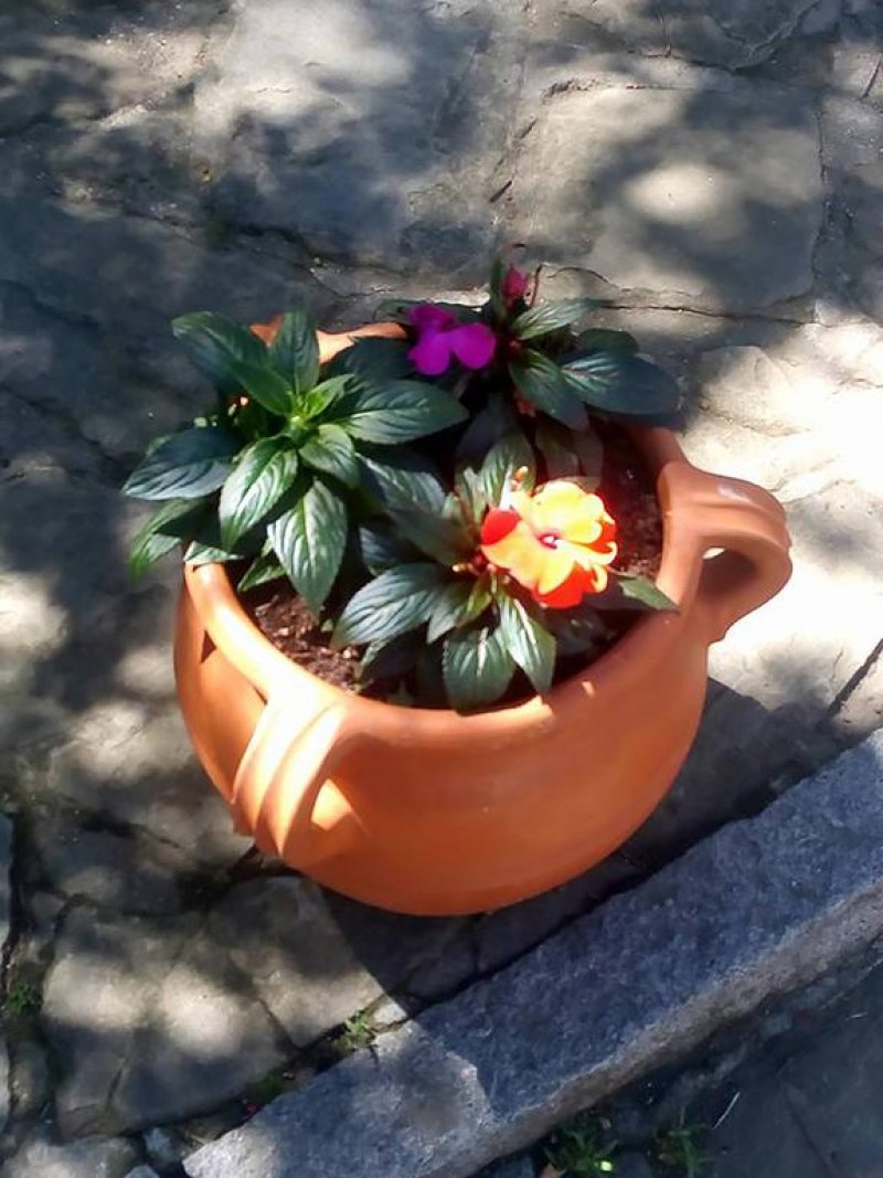 Вила Калин - Снимка 2