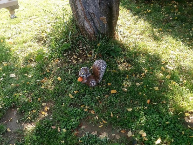 Вила Калин - Снимка 5