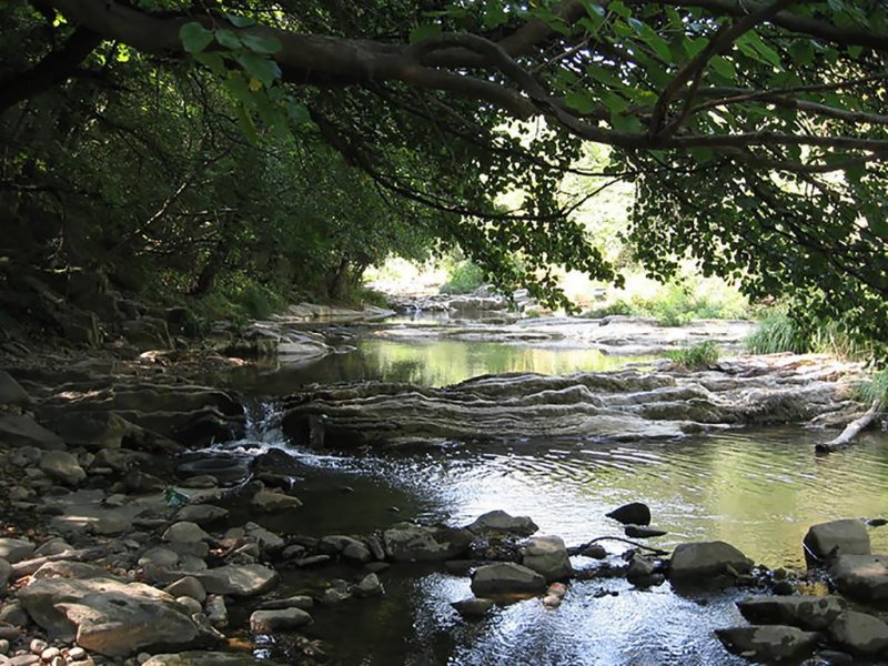 Вила Калин - Снимка 11