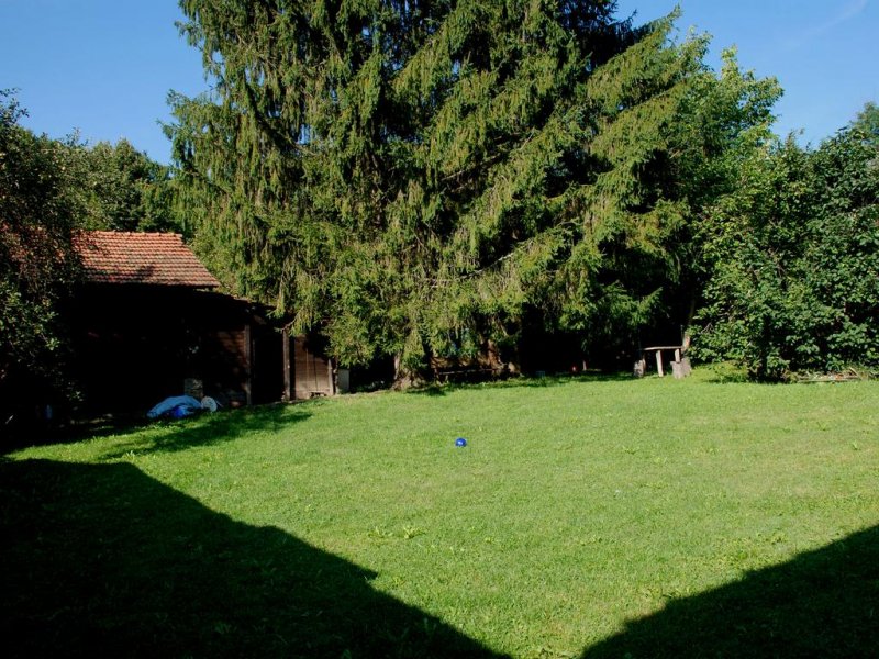 Къща за Гости Четирите Бора - Снимка 8