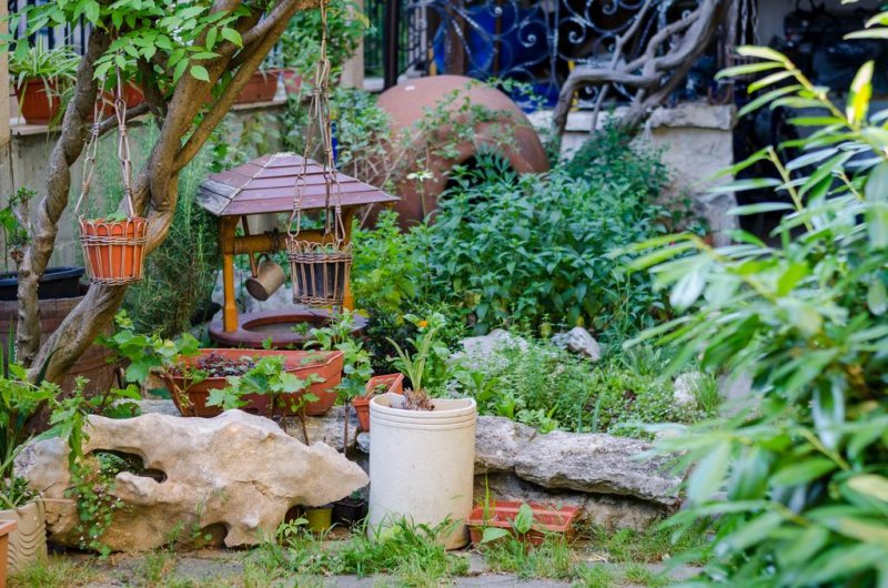 Хотел Калипсо - Снимка 1