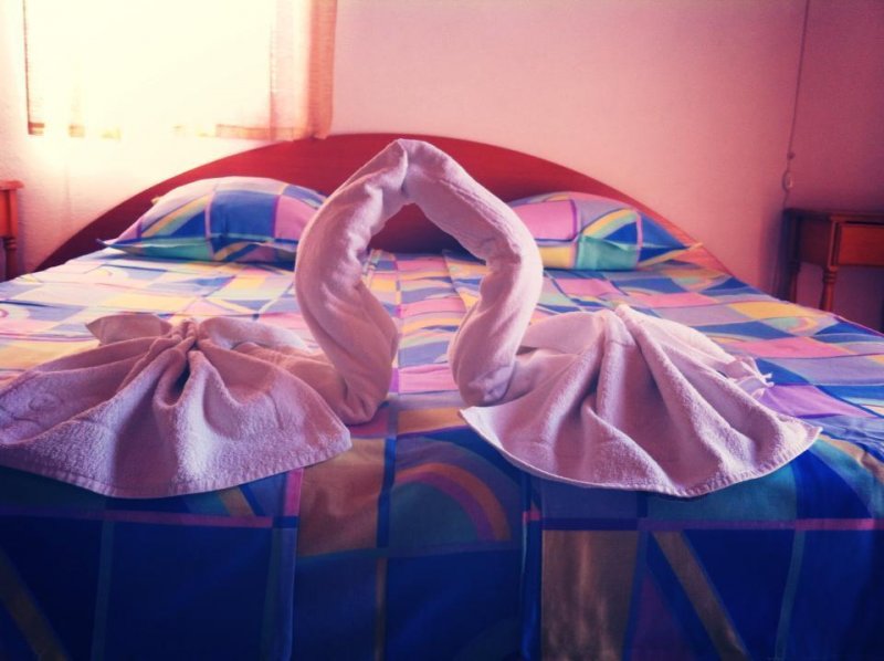 Хотел Ла Камея - Снимка 4