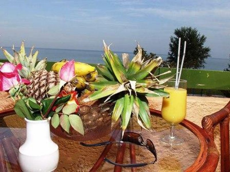 Hotel Platon Beach - Снимка 10