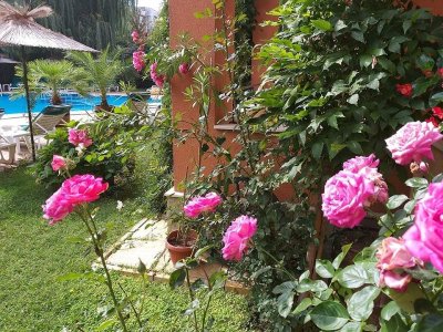 Хотел Лиани - Снимка 8