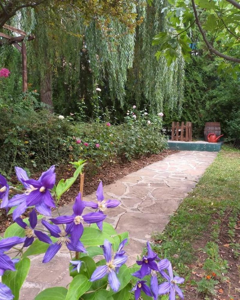 Хотел Лиани - Снимка 11