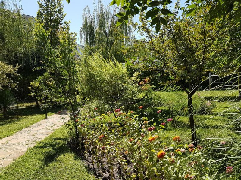 Хотел Лиани - Снимка 10