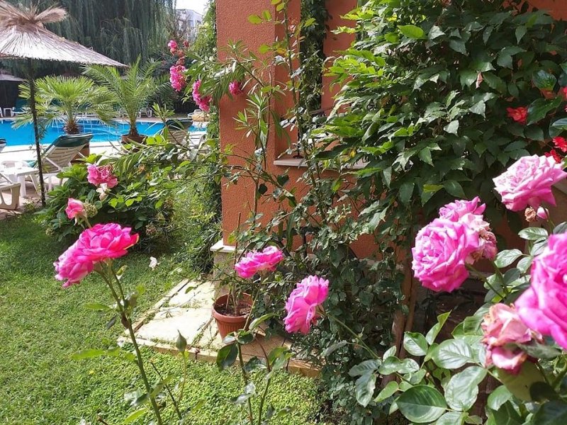 Хотел Лиани - Снимка 8