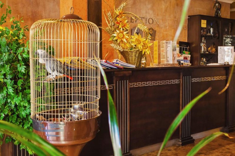 Хотел Форум - Снимка 3