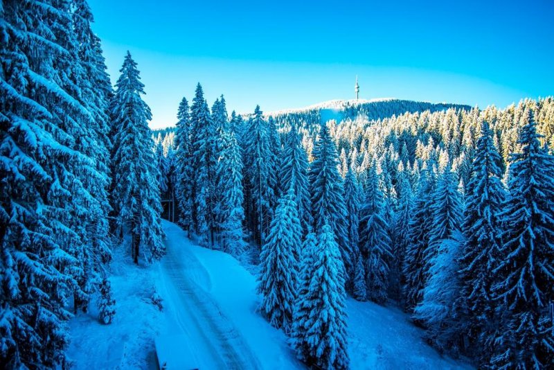 Хотел Съни Хилс - Снимка 7