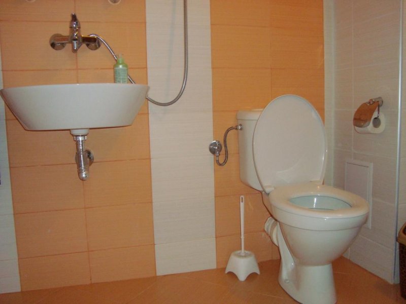 Къща за гости Вила Москито 1 - Снимка 8