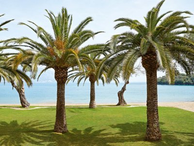 Grecotel Daphnila Bay - Снимка 5