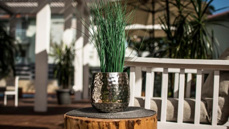 Хотел Минт - Снимка 7