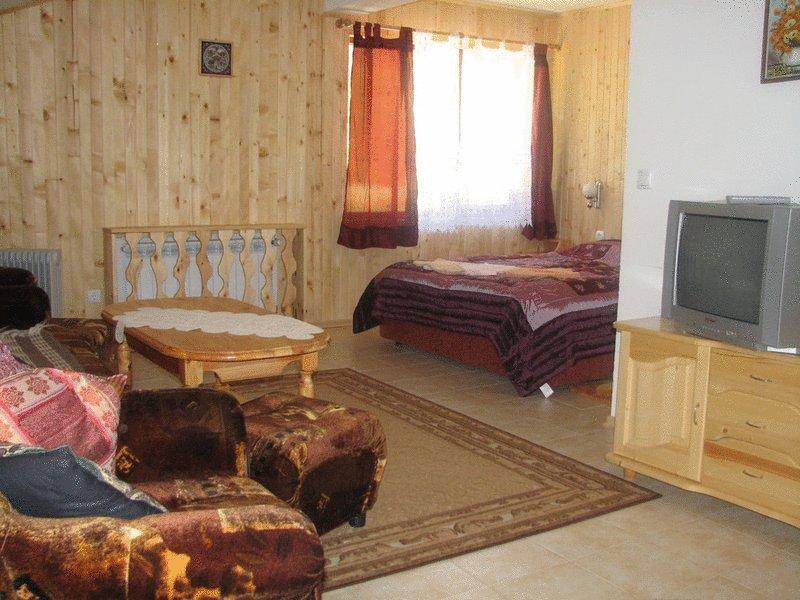 Хотел Елица - Снимка 7