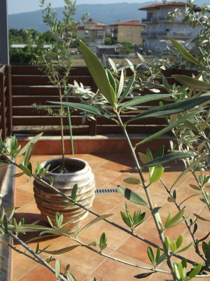 Hotel Metropole - Снимка 7